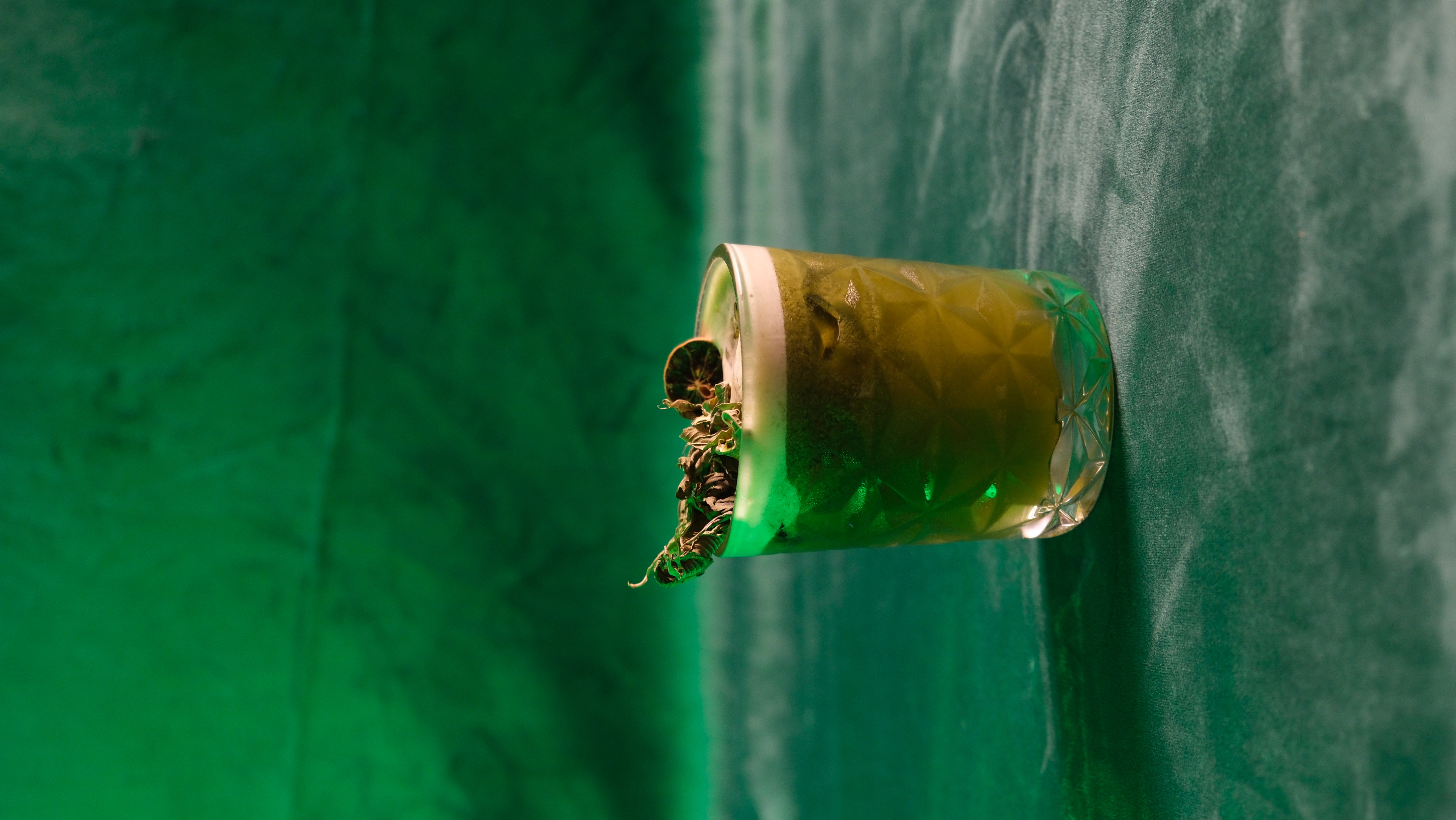 Lambs Ear ( KUZU KULAĞI) **